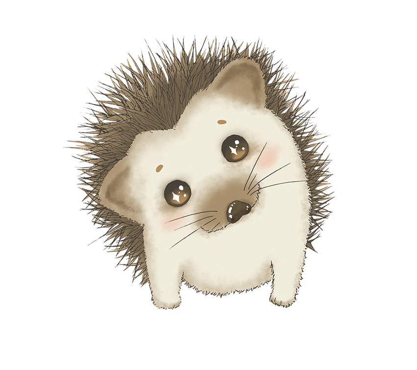 hedgehog